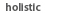 hollstick